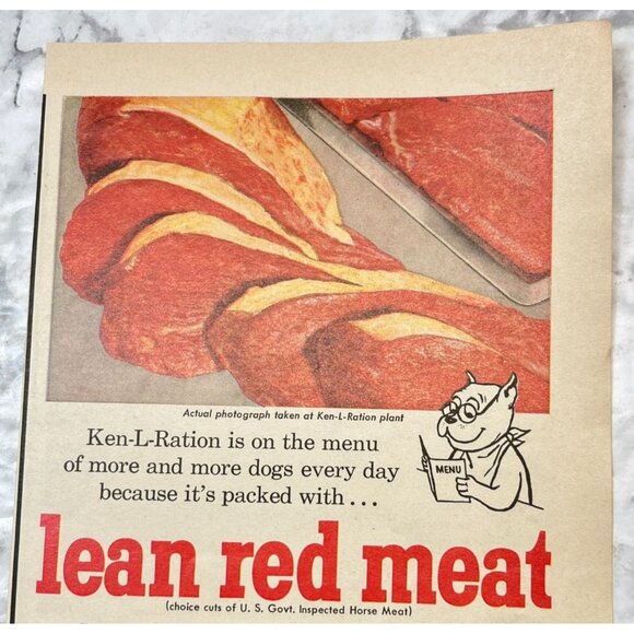 Ken-L Ration Dog Food Vintage Print Ad 1950s Quaker Oats Co MCM Pet Food - Picture 5 of 6